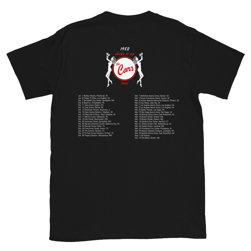 Shake It Up Tour T-Shirt - T-Shirt